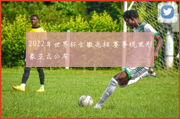 2022年世界杯会徽亮相 赛事视觉形象正式公布