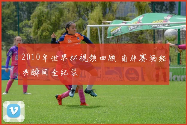 2010年世界杯视频回顾 南非赛场经典瞬间全纪录