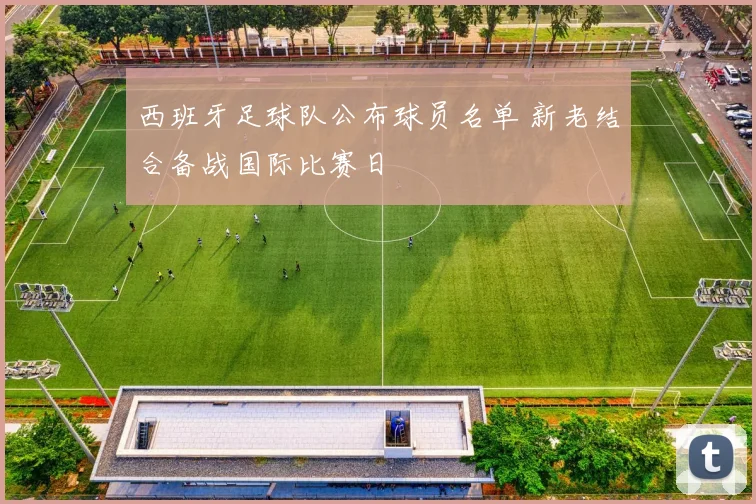 西班牙足球队公布球员名单 新老结合备战国际比赛日