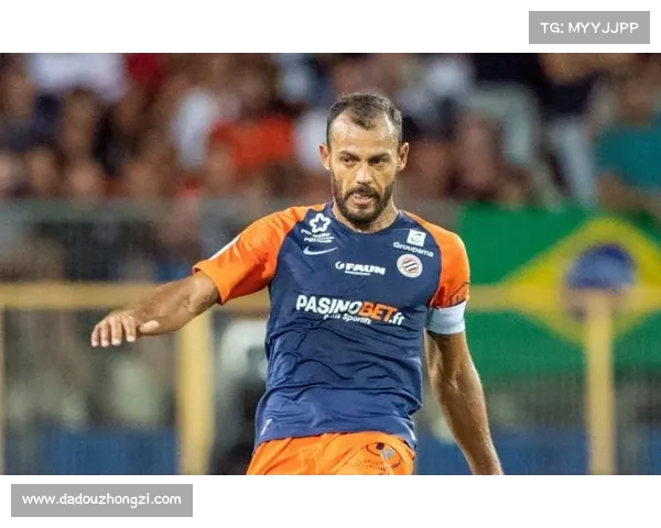 围绕法甲联赛决赛时间的五大常见问题深度解析与答疑指南手册版全