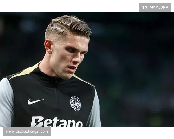 如何评估哲凯赖什转会潜力及其对球队未来影响的分析